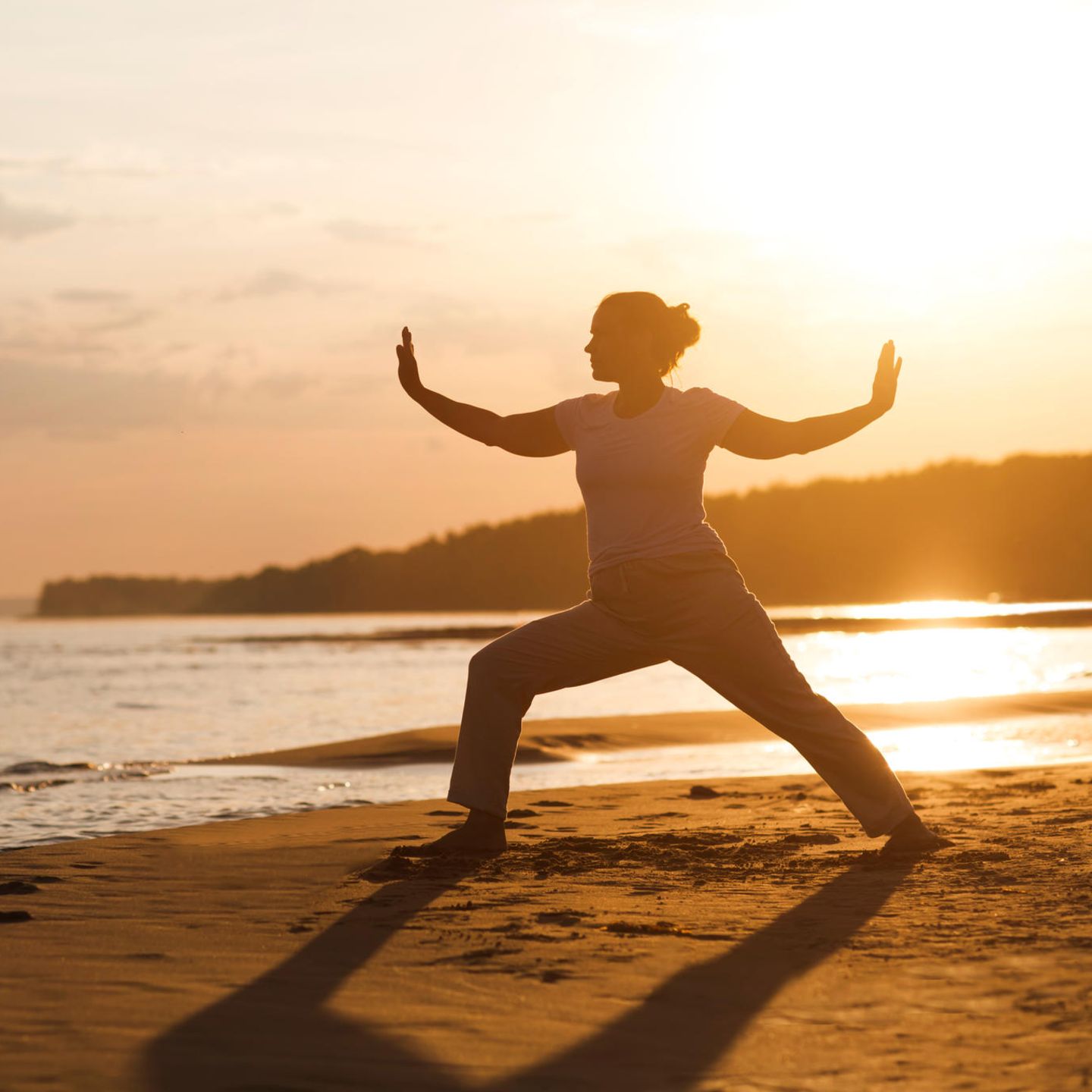 atelier, énergétique, traditionnelle, traditionnel, Qi Gong, taoïsme, spiritualité, sortie, nature, bien être, énergie, do, dao gym, tao, développement personnel, source, se ressourcer, centre, recentrer, se relier, groupe, rencontre, lien, échange, partage, ressourcement, ciel, terre, aligner, alignement, pause, reconnexion, retrouver, apaisement, clarté, respiration, relâchement, mouvement, douceur, rythme, adapté, sans forcer, détente, harmonie, équilibre, vitalité, longévité, souffle, énergie, dynamique, 5 éléments, cinq, saisons, potentiel vital