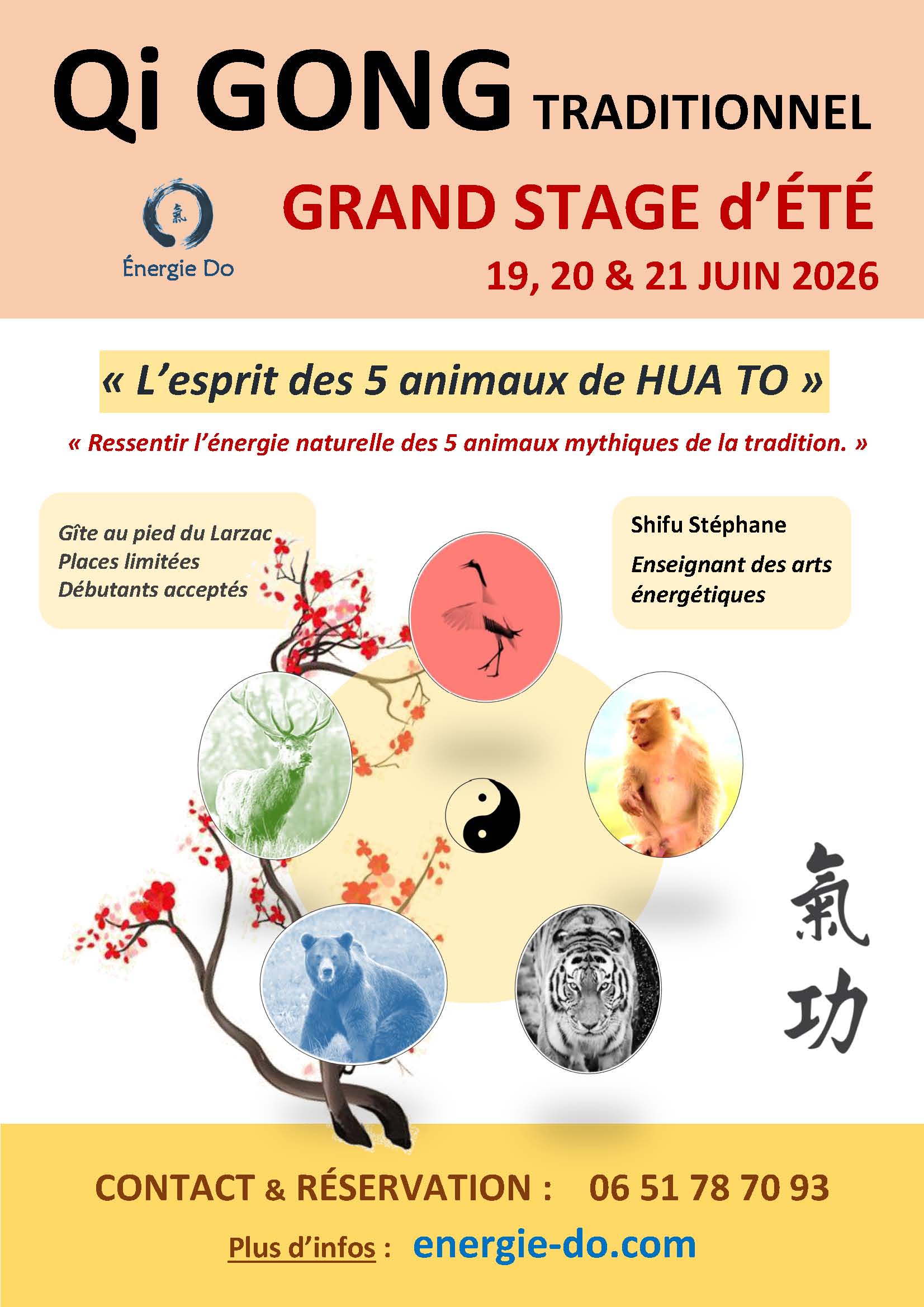 atelier, énergétique, traditionnelle, traditionnel, Qi Gong, taoïsme, spiritualité, sortie, nature, bien être, énergie, do, dao gym, tao, développement personnel, source, se ressourcer, centre, recentrer, se relier, groupe, rencontre, lien, échange, partage, ressourcement, ciel, terre, aligner, alignement, pause, reconnexion, retrouver, apaisement, clarté, respiration, relâchement, mouvement, douceur, rythme, adapté, sans forcer, détente, harmonie, équilibre, vitalité, longévité, souffle, énergie, dynamique, 5 éléments, cinq, saisons, potentiel vital